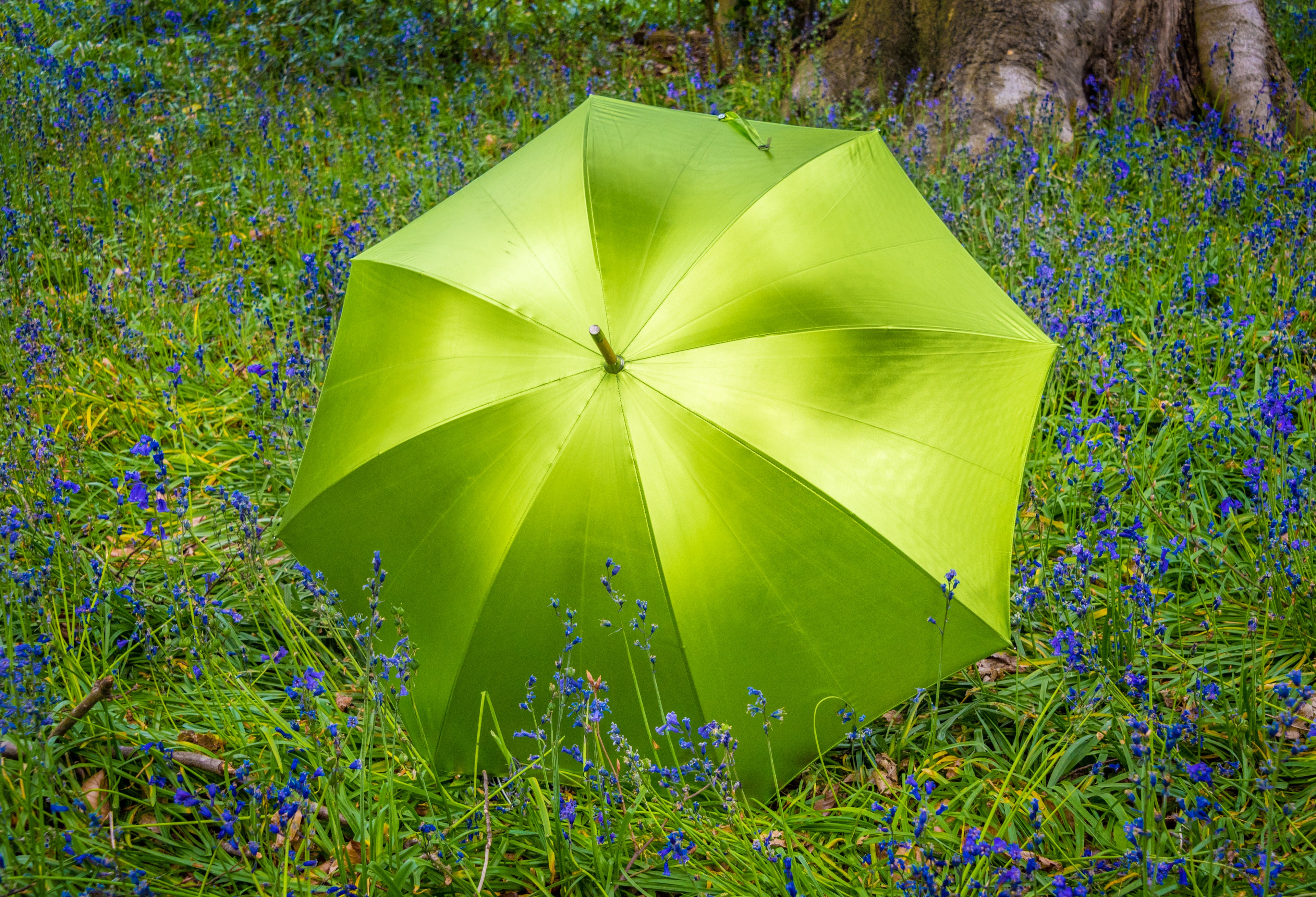 GREEN UMBRELLA